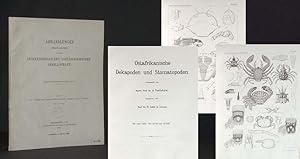 Wissenschaftliche Ergebnisse der Reisen in Madagaskar und Ostafrika in den Jahren 1889-96. Band I...