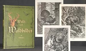 Bild des Verkufers fr Deutsche Wild- und Wald-Bilder. zum Verkauf von Antiquariat Hilbert Kadgien
