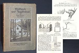 Seller image for Wildkunde und Jagdbetrieb. for sale by Antiquariat Hilbert Kadgien