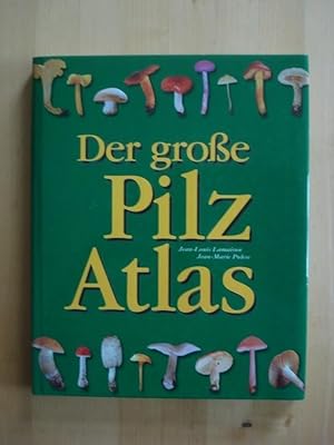 Imagen del vendedor de Der groe Pilz - Atlas a la venta por Antiquariat Birgit Gerl