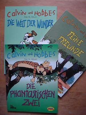 Calvin und Hobbes - 3 Bände (Band 14, 15 und 16)
