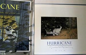 Immagine del venditore per Hurricane venduto da Trilby & Co. Books