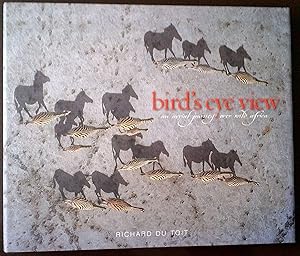 Bird's eye view an aerial journey over wild Africa