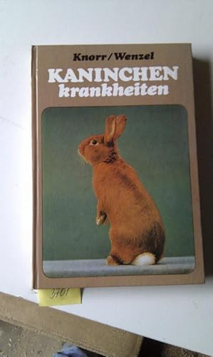 Kaninchen krankheiten