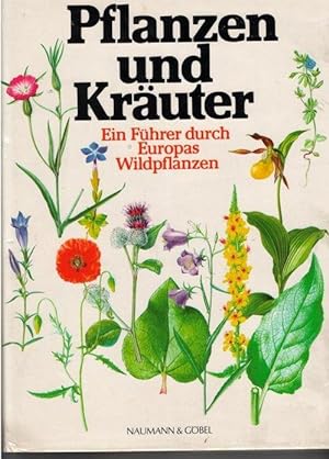 Pflanzen und Kräuter. Ein Führer durch Europas Wildpflanzen von Zdenka Podhajská mit Zeichnungen ...
