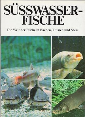 Süsswasser-Fische die Welt der Fische in Bächen, Flüssen und Seen, Arten, Merkmale, Bestimmung, B...