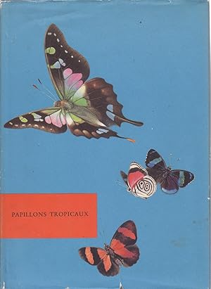 Papillons tropicaux