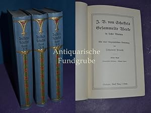 Seller image for Gesammelte Werke in 6 Bnden (3 Teile) mit einer biographischen Einleitung vom J. P. for sale by Antiquarische Fundgrube e.U.