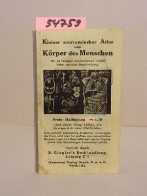 Kleiner anatomischer Atlas vom Körper des Menschen. Eine wirklich vorzügliche Anatomie. In anrege...