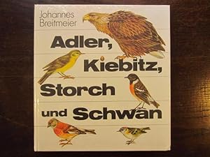 Adler, Kiebitz, Storch und Schwan