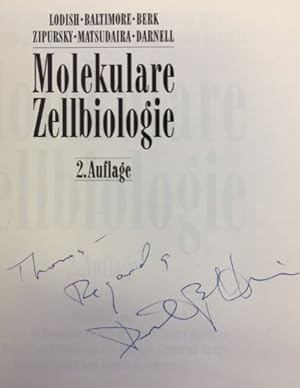 Seller image for Molekulare Zellbiologie. - signiert, Widmungsexemplar for sale by Bhrnheims Literatursalon GmbH