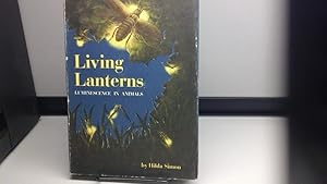 Living Lanterns