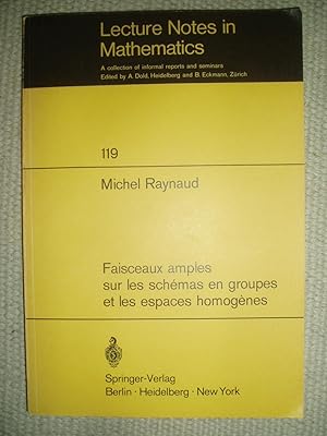 Faisceaux amples sur les schémas en groupes et les espaces homogènes