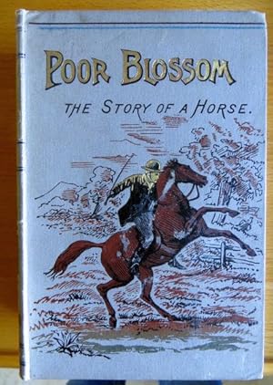 Poor Blossom The story of a horse : By the author of "Neddy and me"