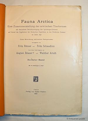Fauna Arctica. Band 6