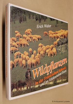 Bild des Verkufers fr Wildpflanzen in der Frnkischen Schweiz und im Veldensteiner Forst. zum Verkauf von Antiquariat Lycaste
