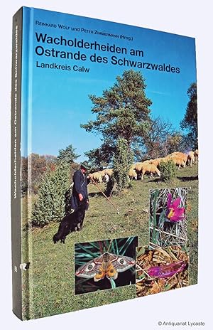 Seller image for Wacholderheiden am Ostrand des Schwarzwaldes (Landkreis Calw). Verbreitung, Flora, Fauna, Gefhrdung, Schutz und zuknftige Entwicklung. for sale by Antiquariat Lycaste