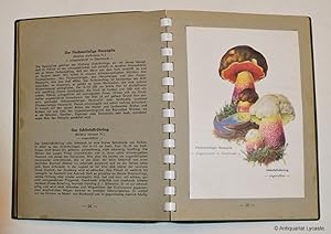 Bild des Verkufers fr Pilz-Taschenbuch der frnkischen Presse zum Verkauf von Antiquariat Lycaste