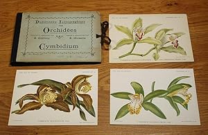 Dictionnaire Iconographique des Orchidées - Genre Cymbidium.