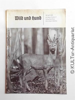 Wild und Hund. 61. Jahrg. / Nummer 2. 20. April 1958.