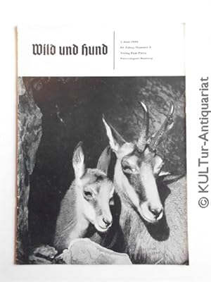 Wild und Hund. 61. Jahrg. / Nummer 5. 1. Juni 1958.