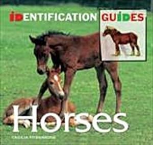 Bild des Verkufers fr Horses & Ponies zum Verkauf von AHA-BUCH