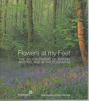 Flowers at My Feet : The Wild Flowers of Britain and Ireland in Photographs