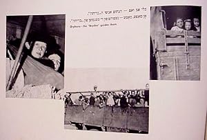 Bild des Verkufers fr BRYCHA 1945-1948. HOME THROUGH THE VALE OF TEARS. OYF DEM LAYDNSVEG KEYN ERETZ YISRAEL = BI-NTIV HA-YISURIM LA-MOLEDET zum Verkauf von Dan Wyman Books, LLC