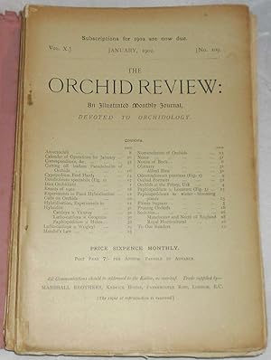 The Orchid Review: Vol. X. No. 109-120, 1902