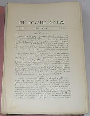 The Orchid Review: Vol. XIV. No. 157-168, 1906