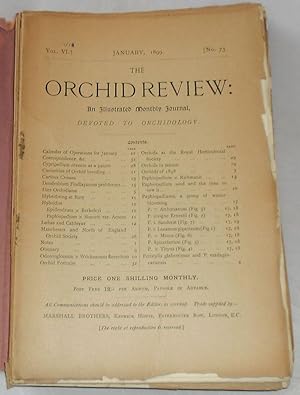 The Orchid Review: Vol. VI. No. 61-72, 1899