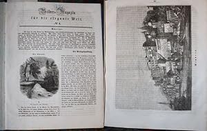 Bilder=Magazin für die elegante Welt (Jahrgang 1836) N° 1-52