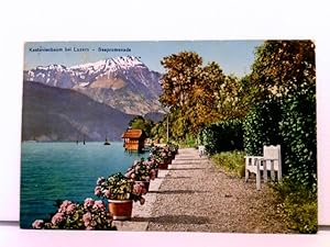 seltene AK Kastanienbaum bei Luzern - Seepromenade; coloriert