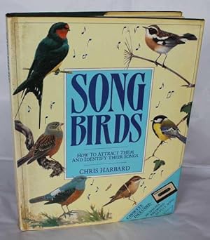 Songbirds. How to Attract Them and Identify Their Songs