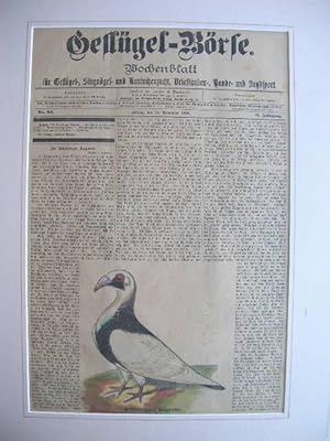 Wochenblatt "Geflügel-Börse": Titelblatt vom 29. November 1898 (Nürnberger Bagdette) //