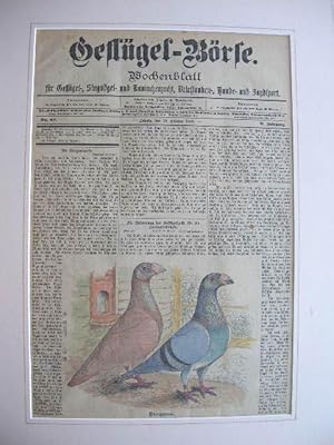 Wochenblatt "Geflügel-Börse": Titelblatt vom 30. Okt. 1900 (Dragons) //