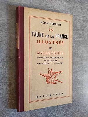 Seller image for LA FAUNE DE LA FRANCE ILLUSTREE en tableaux synoptiques illustrs.- IX : MOLLUSQUES - Bryozoaires, Brachiopodes, Protocordes, Amphioxus, Tuniciers.- 778 dessins for sale by Librairie Pique-Puces