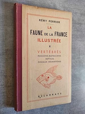 Seller image for LA FAUNE DE LA FRANCE ILLUSTREE en tableaux synoptiques illustrs.-X : VERTEBRES - Poissons, Batraciens, Reptiles, Oiseaux, Mammiferes.- 619 dessins for sale by Librairie Pique-Puces