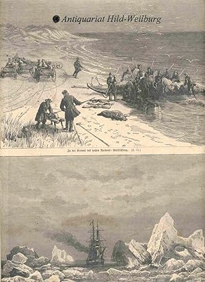In der Eiswelt des hohen Nordens: 2 Abbildungen auf einem Blatt. Zeigt: Walfischfänger ziehen den...