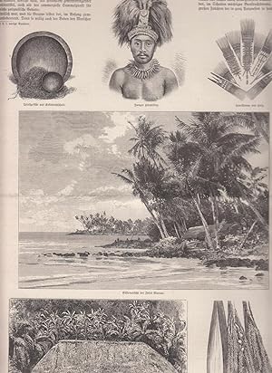 Bilder aus Samoa. 12 Abbildungen mit einem Artikel "Die Samoa-Frage II." auf zwei Blatt. Zeigt: 1...