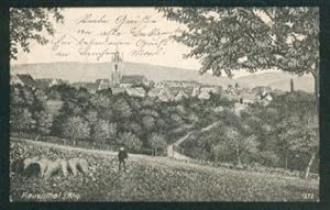 Ansichtskarte: Gesamtansicht im Vordergrund Schafherde. 0, s/w, Litho., I-II, 1911.