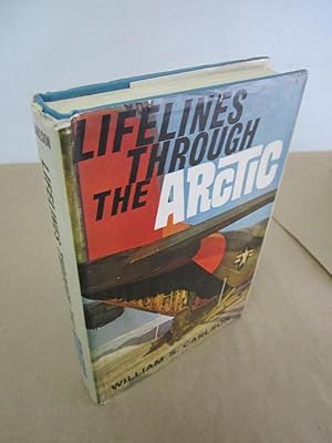 Lifelines through the Arctic