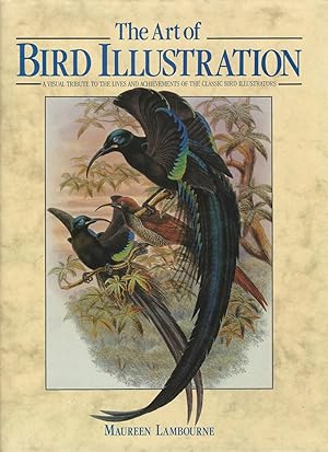 The Art of Bird Illustration