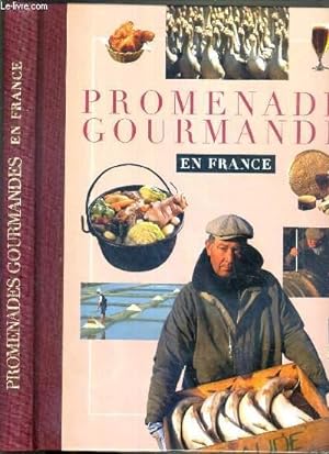 Seller image for PROMENADE GOURMANDE EN FRANCE for sale by Le-Livre