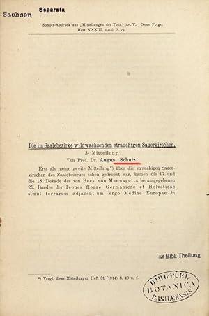 Bild des Verkufers fr Die im Saalebezirke wildwachsenden strauchigen Sauerkirschen 3.Mitteilung. Sonderabdruck aus " Mitteilungen des Th. Bot. V.", Neue Folge, Heft XXXIII, 1916, S. 24. zum Verkauf von Antiquariat Bookfarm