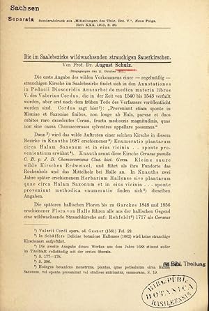 Bild des Verkufers fr Die im Saalebezirke wildwachsenden strauchigen Sauerkirschen. Sonderabdruck aus" Mitteilungen des Thr. Bot. V.", Neue Folge, Heft XXX, 1913, S. 39. zum Verkauf von Antiquariat Bookfarm