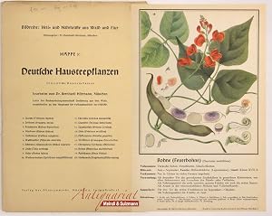 Bild des Verk�ufers f�r Bildreihe: Heil- und N�hrkr�fte aus Wald und Flur. Mappe 3: Deutsche Hausteepflanzen. zum Verkauf von Antiquariat MEINDL & SULZMANN OG