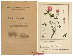 Bild des Verk�ufers f�r Bildreihe: Heil- und N�hrkr�fte aus Wald und Flur. Mappe 9: Deutsche Heilpflanzen 2. 20 weitere heimische Heilpflanzen. zum Verkauf von Antiquariat MEINDL & SULZMANN OG
