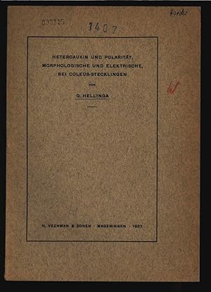 Bild des Verkufers fr Heteroauxin und Polaritt, morphologische und elektrische, bei Coleus-Stecklingen. zum Verkauf von Antiquariat Bookfarm