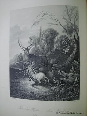 "Die Hirschjagd - The Stag Hunt" - Original - Stahlstich von A. Carse nach Ruthardt Bildgröße: 17...